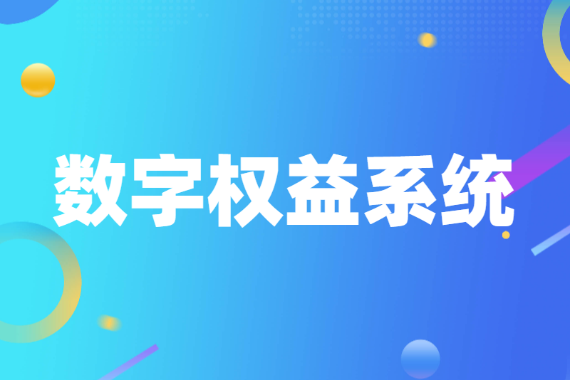 数字权益系统